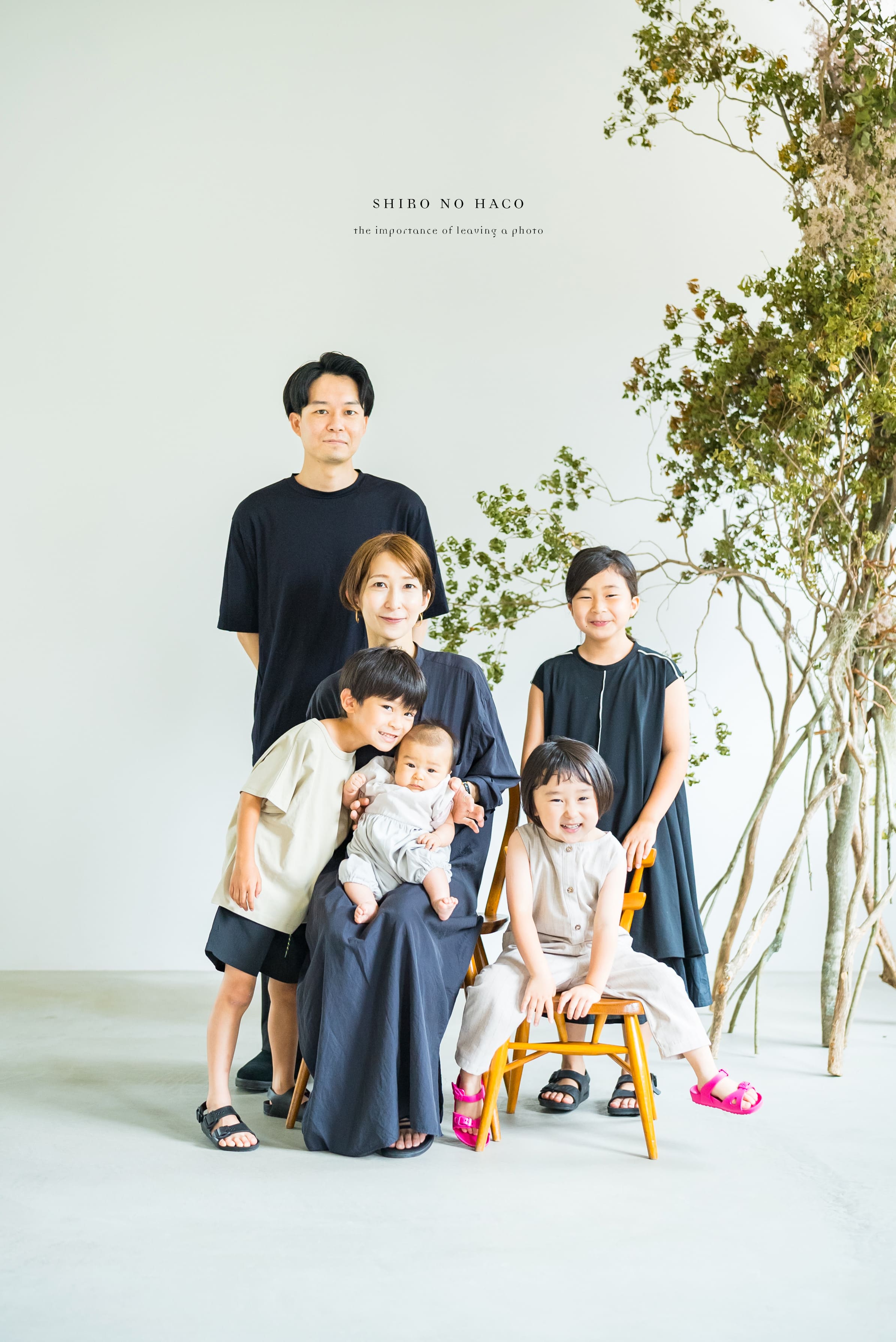Family Photo写真